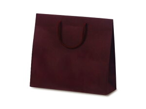 y100z1028  T-6 J[Ntg C xx   ̑ GR v[g 蕨 00163709 vXe