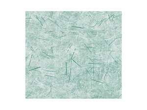 y200_z787  ʗ() S xx 00204167