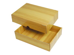 y100zNK-419 ؖڂ͂Mtg  }jpbP[W 00245658 vXe