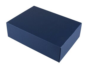 y50zSK-165 ʋl12 }jpbP[W 00252513 vXe