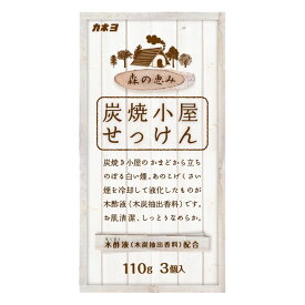 【36個】炭焼小屋 3P カネヨ石鹸 00279065 プロステ
