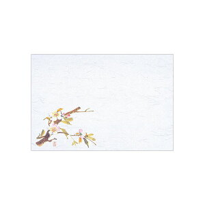 y10ZbgzM30-205 lG   100 }C 00383362 vXe