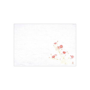 y10ZbgzM30-212 lG  H 100 }C 00383412 vXe