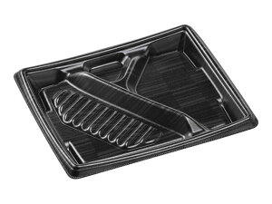 y600zMFP24-20-2 bh GtsR ĝĕٓe eCNAEg 00305802