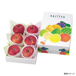 y50gzL-482 ʎpbg  }jpbP[W 00306148 vXe