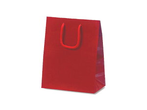 y100z1046 ~jobO C xx   ̑ GR v[g 蕨 00308191 vXe