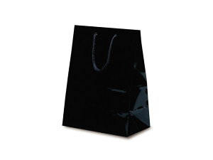 y100z1510 ~jobO ubN xx   ̑ GR v[g 蕨 00308192 vXe