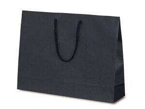 y100z1041  T-Y J[Ntg lCr[ xx   ̑ GR v[g 蕨 00308231 vXe