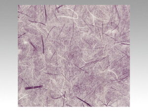 y200_z785  ʗ() S xx 00308296