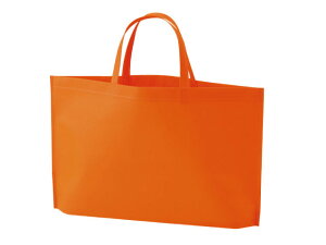 y200z9253 Vvg[g 75 A4(IW) xx GRobO obO JԂg 00308892 vXe