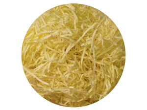 y3z5394 ɏՍ 1kglpbL AC{[ xx 00309302 vXe