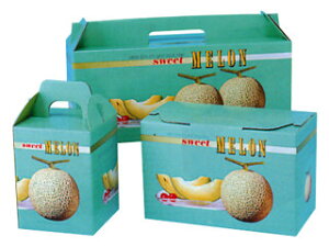 y50z XC[g 2Pp 00404852 vXe