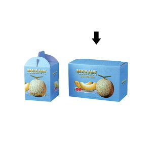 y50z rQXg 2p 00422715 vXe