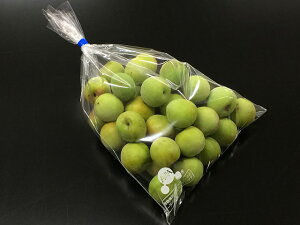 y1000z ʗp xO[CY I[pbN ~p200×320 vXe