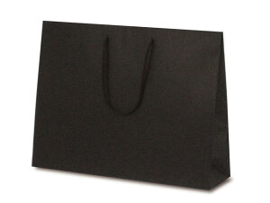 y100z1054  T-Y J[Ntg uE xx   ̑ GR v[g 蕨 00463601 vXe