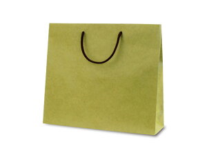 y100z1056  T-6 J[Ntg  xx   ̑ GR v[g 蕨 00495949 vXe