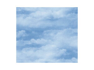 y200_z733  NEh(u[) S xx 00503837