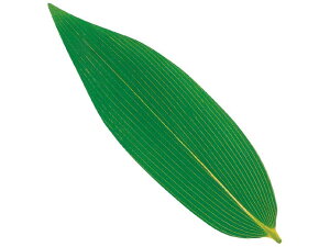 y500z tBV[g OV[g F ۑ jo[X vXe