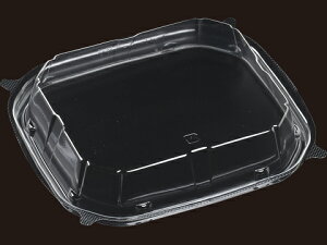 y450zT-O20-17ƍW OPET GtsR Hie ĝėe e 00520595