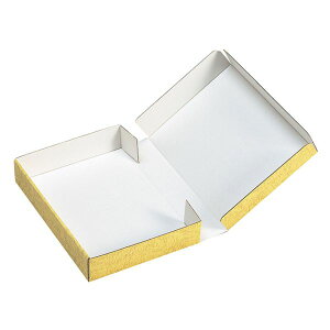 �y100���zNK-31 ���蔠�� ���}�j�p�b�P�[�W 00530437 �v���X�e