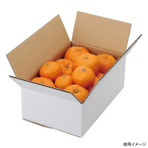 y80zL-2231 A݂񔒖n3kg }jpbP[W ʗe t[ce _Y ĝėe 00545352