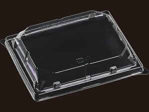 y800zT-V18-15ƍWOPS GtsR ĝĕٓe eCNAEg 00557032