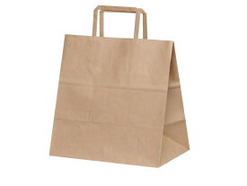 【50枚】 紙袋 パックタケヤマ 紙手提袋 H平26 未晒無地 プロステ