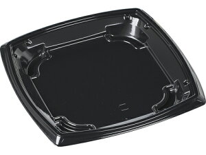 y600zMSDGbV19-19  GtsR ĝĕٓe eCNAEg 00564003