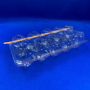 y1500zpbN APET~V L ܓ I쏊 ʗe t[ce _Y ĝėe 00618993