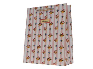 y120z t[ NO.1 }cV   ̑ GR v[g 蕨 00635756 vXe