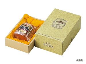 y50gz17-333 n sDz䎆t  }jpbP[W 00636036 vXe