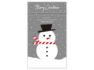 y500z20-1960Y `bNtX^h 䂫 }jpbP[W 00637260 vXe