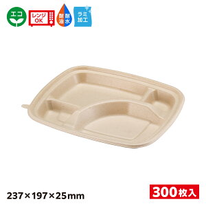 y300zGRe eCNAEg pv[h ٓe{ NtgF BB|oKXٓ SDGs  e Hie \ N24[20A ~ 653870