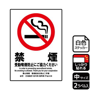 y1gzXebJ[ KFK3021 󓮋ih~ 2 KALBAS Ŕ W XebJ[ ē \ 00349962 vXe