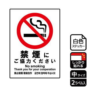 y1gzXebJ[ KFK3022 ։ɂ 2 KALBAS Ŕ W XebJ[ ē \ 00349973 vXe