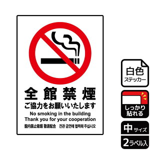 y1gzXebJ[ KFK3028 Sً։ 2 KALBAS Ŕ W XebJ[ ē \ 00350011 vXe