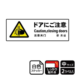 y1gzXebJ[ KFK4050 hAɂ 2 KALBAS Ŕ W XebJ[ ē \ 00351537 vXe