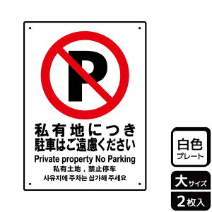 y1gzv[g KTK1081 LnԂ 2 KALBAS Ŕ W XebJ[ ē \ 00354290 vXe