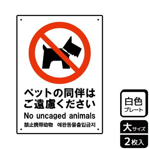 y1gzv[g KTK1138 ybg̓ 2 KALBAS Ŕ W XebJ[ ē \ 00354818 vXe