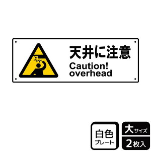 y1gzv[g KTK2025 V䒍 2 KALBAS Ŕ W XebJ[ ē \ 00355846 vXe