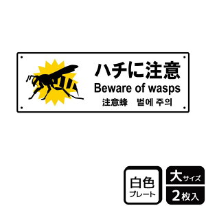 y1gzv[g KTK2103 n`ɒ 2 KALBAS Ŕ W XebJ[ ē \ 00356470 vXe