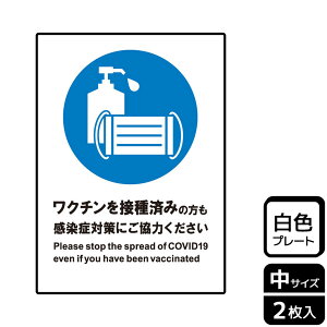 y1gzv[g KTK3140 N`ڎ΍ 2 KALBAS Ŕ W XebJ[ ē \ 00358027 vXe