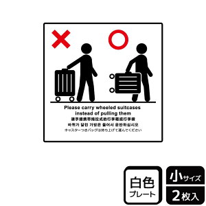 y1gzv[g KTS5020 Jo͎グĉ^ 2 KALBAS Ŕ W XebJ[ ē \ 00360516 vXe