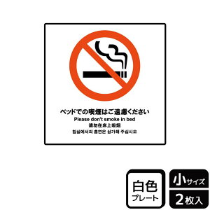 y1gzv[g KTS5022 xbhł̋i͂ 2 KALBAS Ŕ W XebJ[ ē \ 00360528 vXe