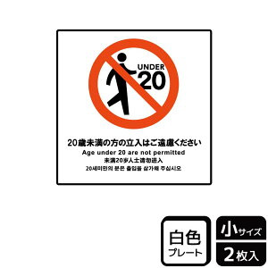 y1gzv[g KTS5023 20Ζ͗̕܂ 2 KALBAS Ŕ W XebJ[ ē \ 00360533 vXe