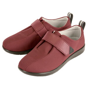 y20zPH ]тɂV[Y ܐL S C 1 IITLfBJ 00371439 vXe