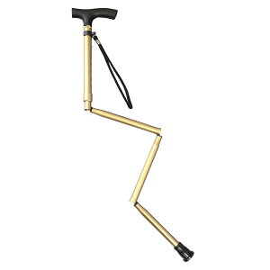 y50{zׂɂ Lk܂肽ݎ  IITLfBJ 00372555 vXe