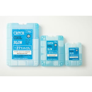 y1_z ۗ Lb`N[u[ S u[(xсF-21) gCEJpj[ vXe