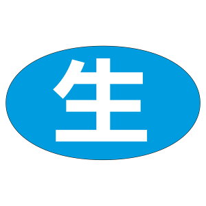 y1000zx M-650  J~C\Y 00038948 vXe