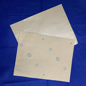 y300zĝăoX}bg 39cm×50cm Jl 00360892 vXe